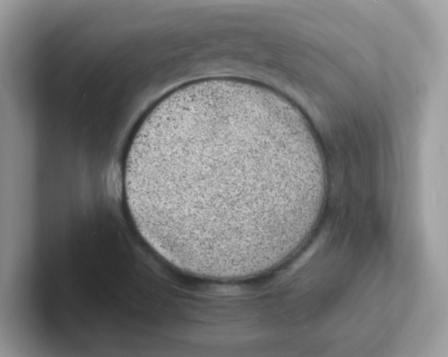 X0000101481509200807281029