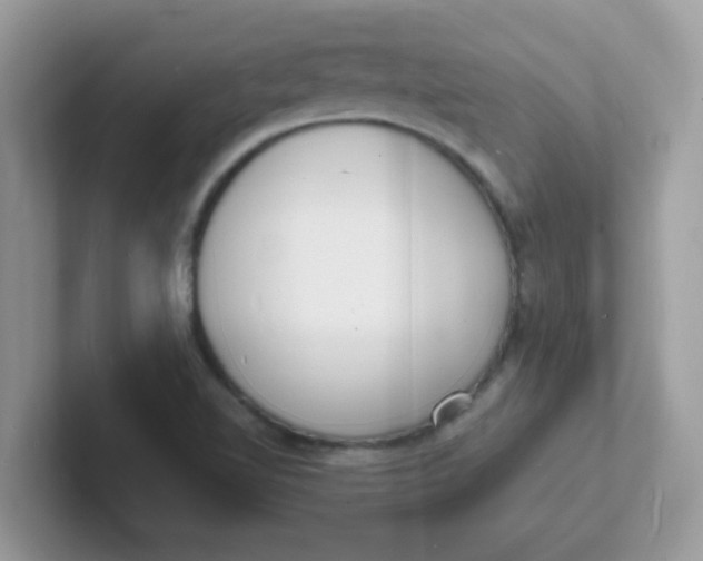 X0000101481510200807281029