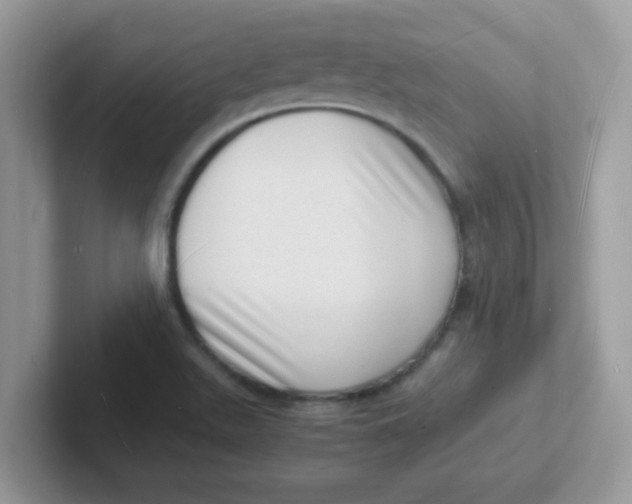 X0000101481511200807281029