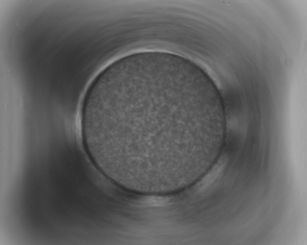 X0000101481514200807281029