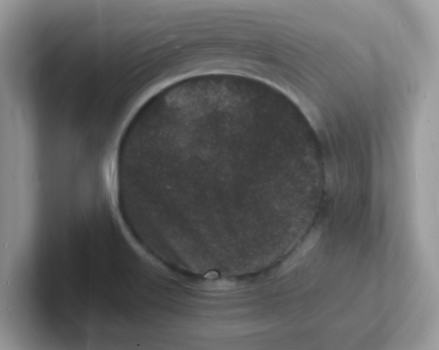 X0000101481515200807281029