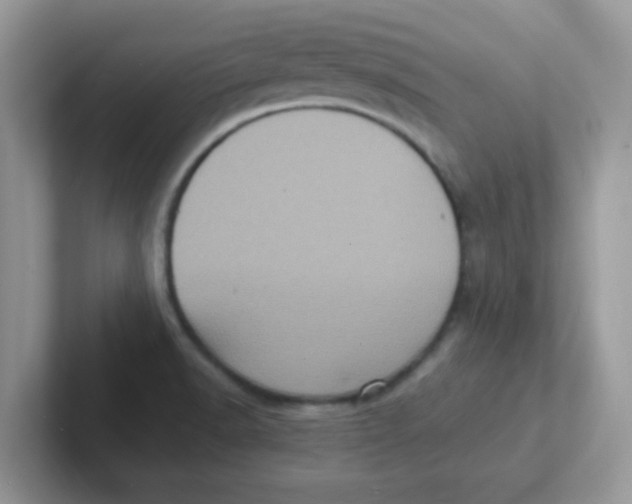 X0000101481518200807281029