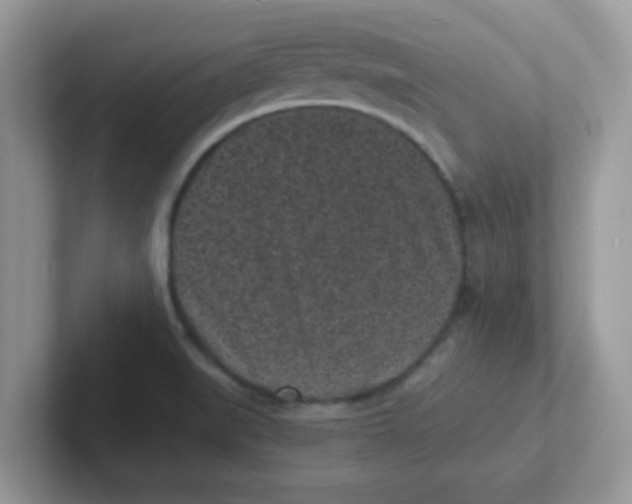 X0000101481519200807281029