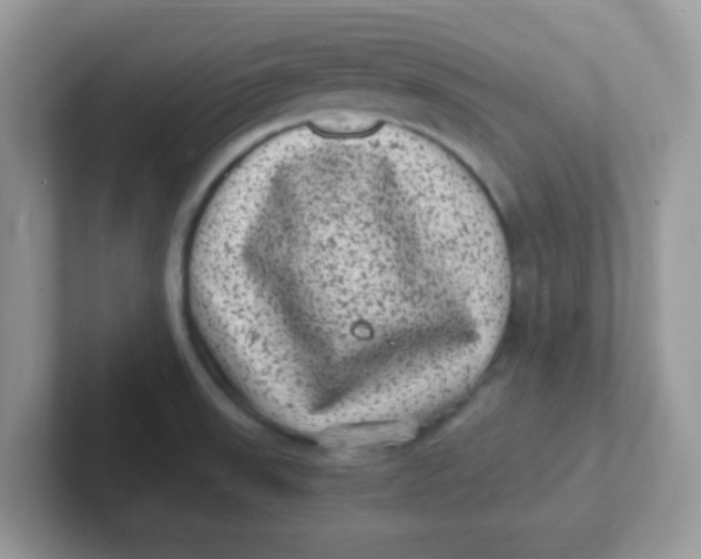 X0000101481523200807281029