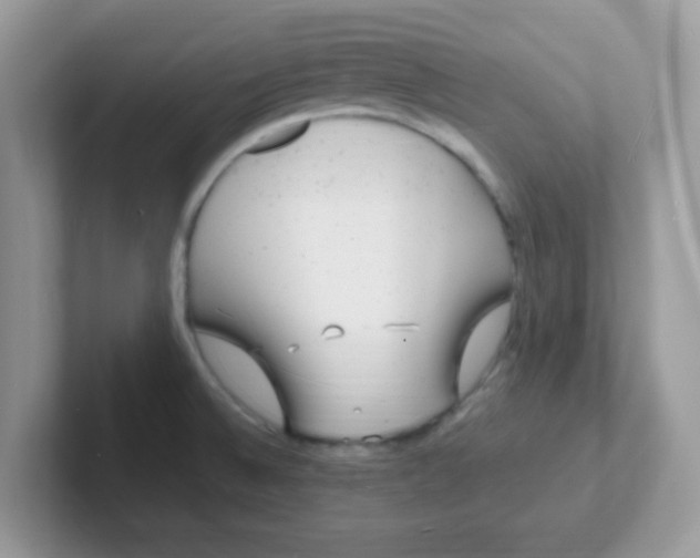 X0000101481524200807281029