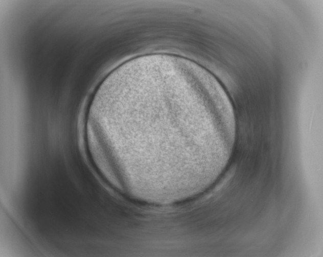 X0000101481525200807281029