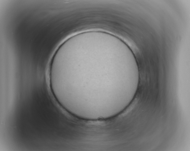 X0000101481526200807281029