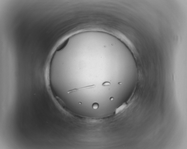 X0000101481528200807281029