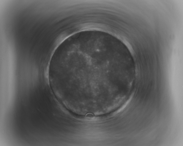 X0000101481529200807281029