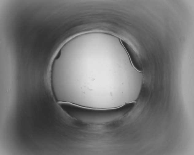 X0000101481532200807281029