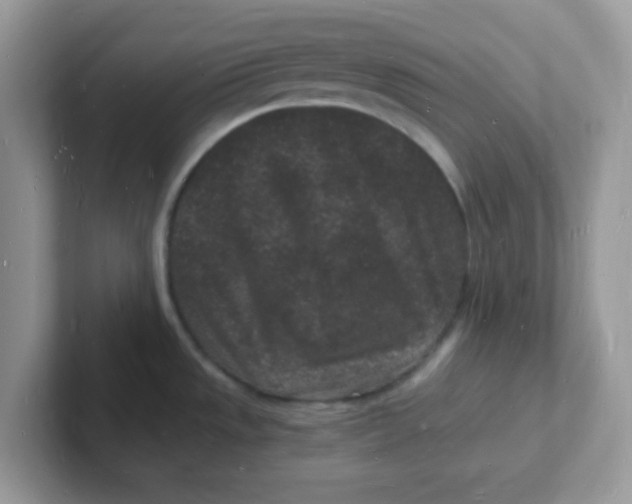 X0000101481533200807281029