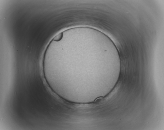 X0000101481534200807281029