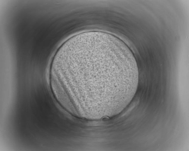 X0000101481535200807281029