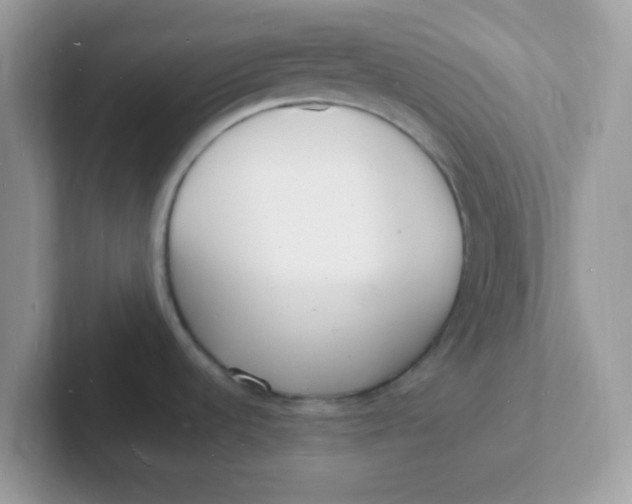 X0000101481536200807281029