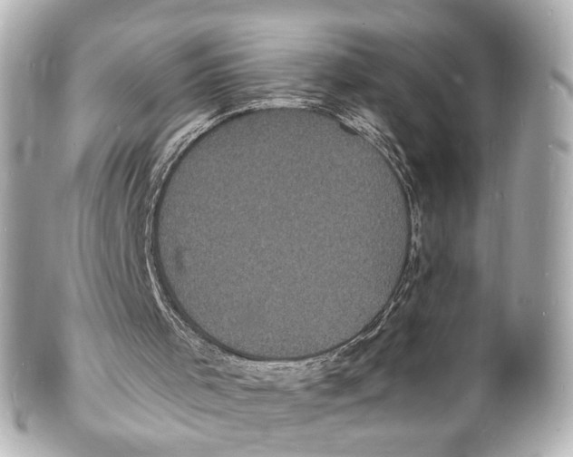 X0000101480001200808041139