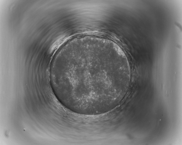 X0000101480002200808041139