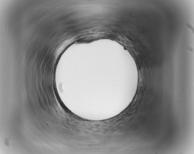 X0000101480003200808041139