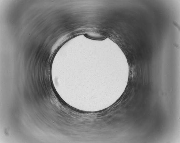 X0000101480004200808041139