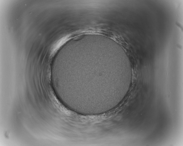 X0000101480005200808041139