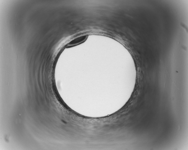 X0000101480007200808041139