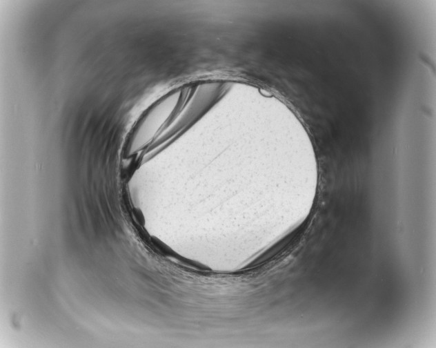 X0000101480008200808041139