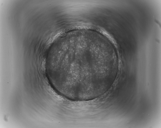 X0000101480009200808041139