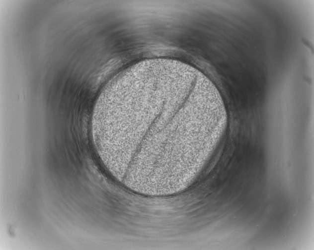 X0000101480010200808041139