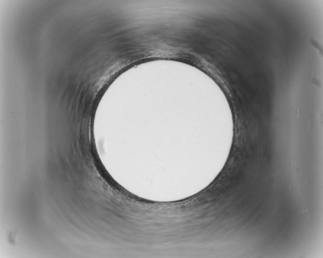 X0000101480011200808041139