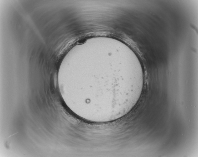 X0000101480013200808041139