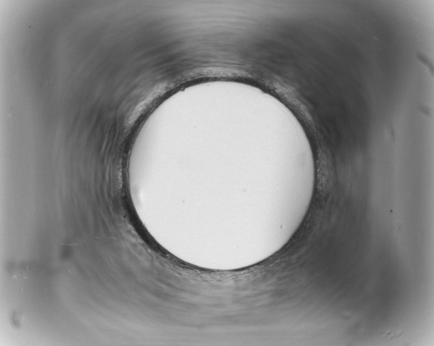 X0000101480015200808041139