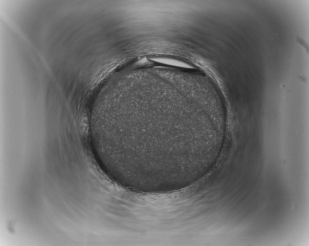 X0000101480017200808041138