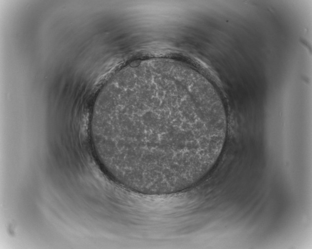 X0000101480018200808041138