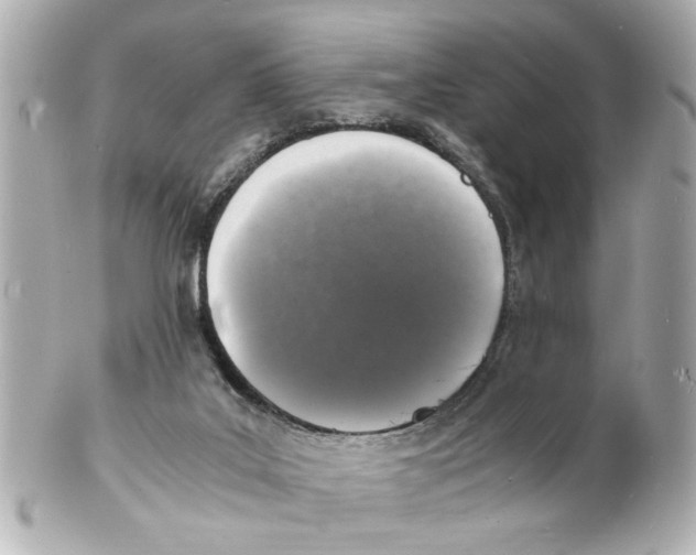 X0000101480019200808041138