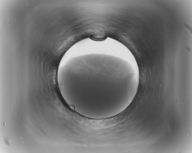 X0000101480023200808041138