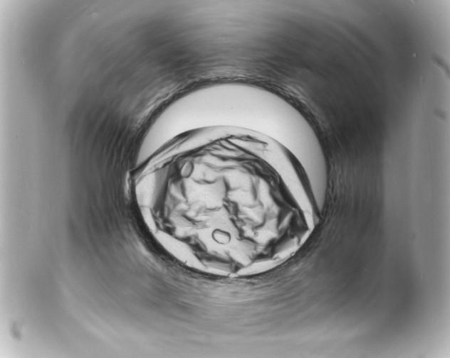 X0000101480024200808041138