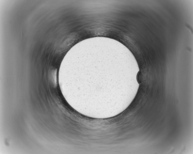 X0000101480028200808041138