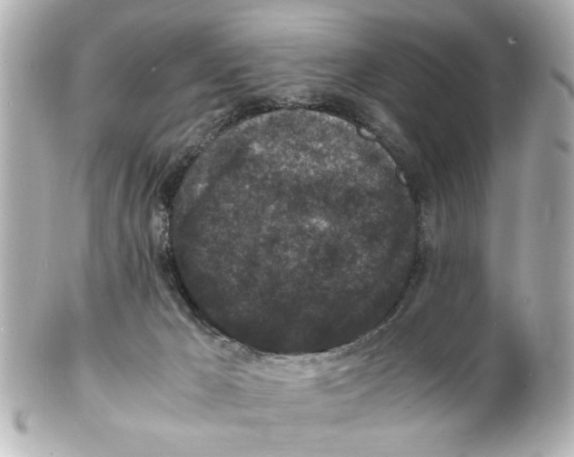 X0000101480029200808041138