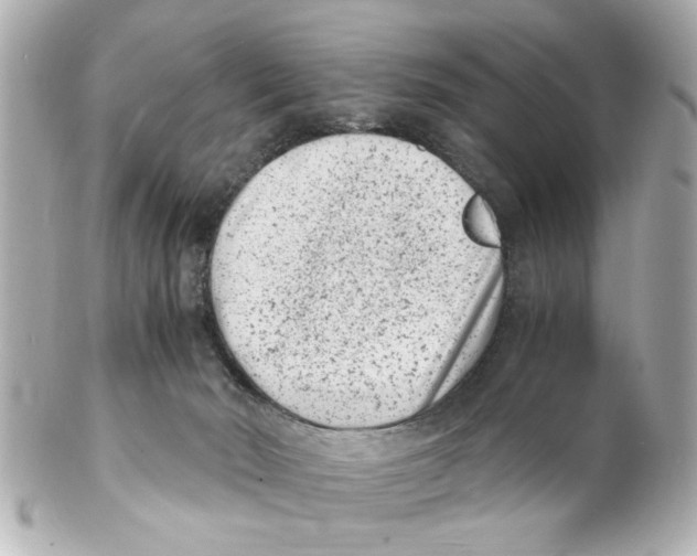 X0000101480030200808041138