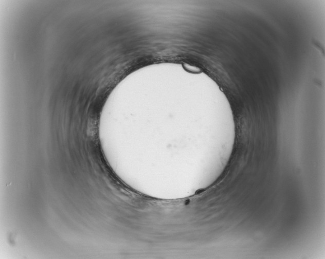 X0000101480033200808041138