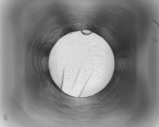 X0000101480034200808041138