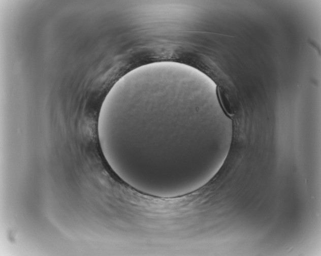 X0000101480035200808041138