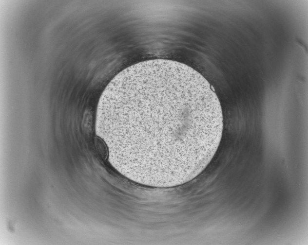 X0000101480036200808041138