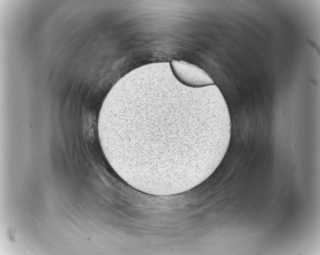 X0000101480038200808041138