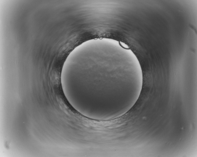 X0000101480039200808041138