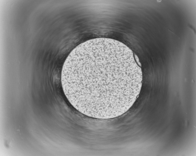 X0000101480040200808041138