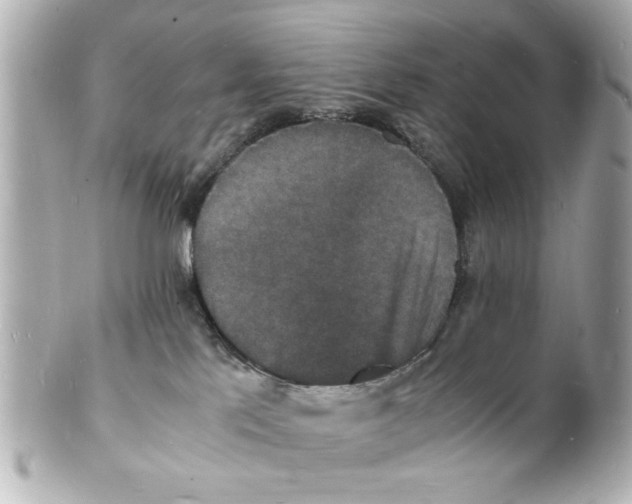 X0000101480041200808041138