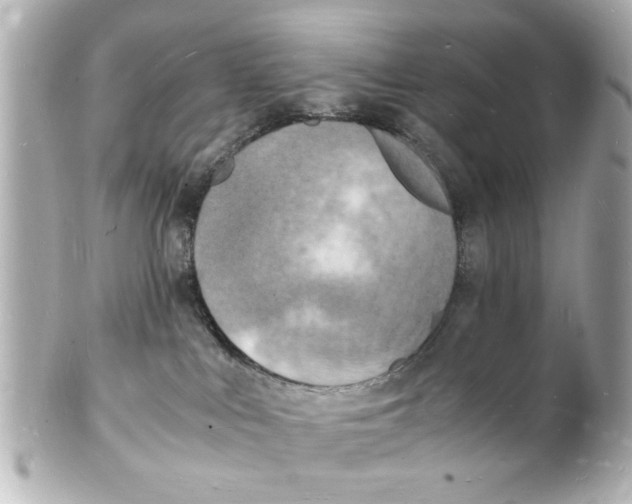 X0000101480043200808041138