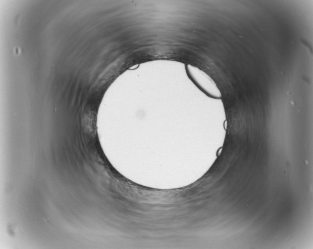 X0000101480044200808041138