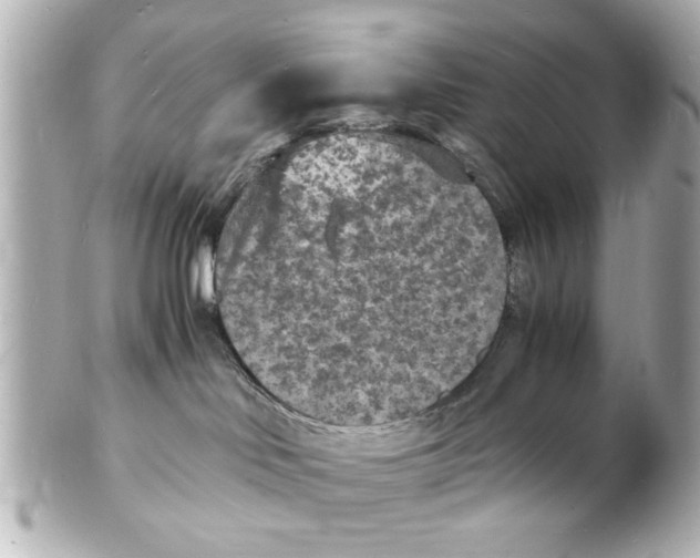 X0000101480046200808041138