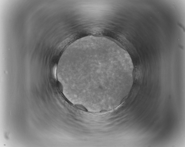 X0000101480047200808041138